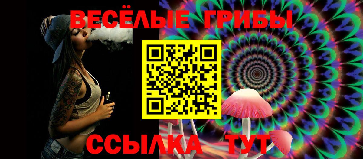 Псилоцибиновые грибы прущие грибы  Вход с VPN  Гуково 