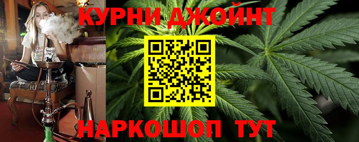 Бошки марихуана сатива Гуково